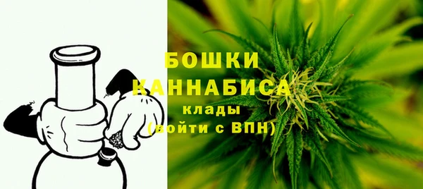 МДПВ Гусиноозёрск
