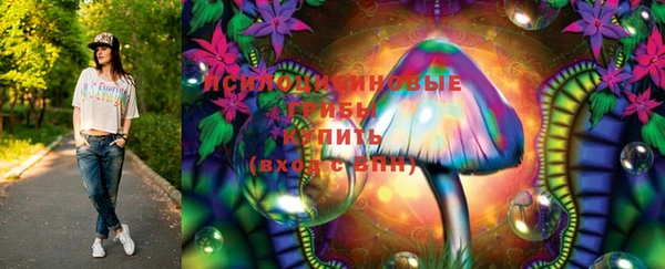 МДПВ Гусиноозёрск
