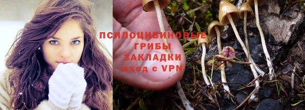 СК Хадыженск